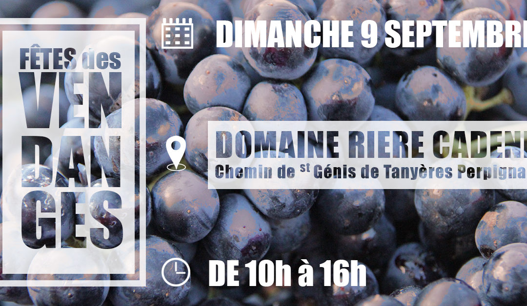 Fête des vendanges 2018