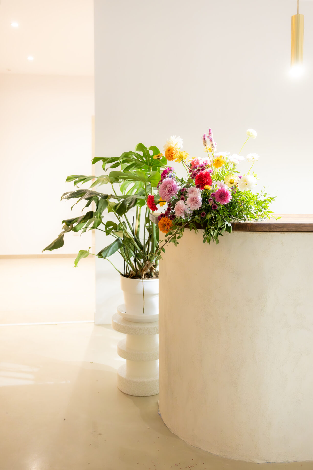 orangerie opening 93