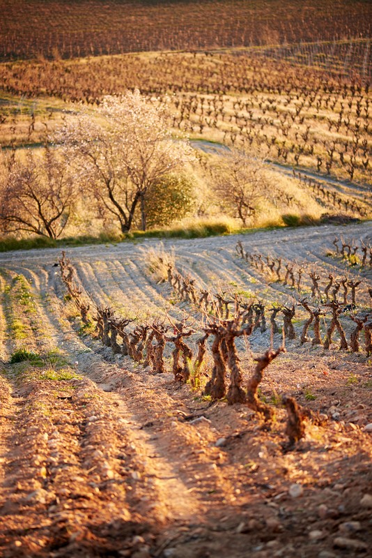 01 RiereCadene byGiorgetti HD couleur 22 PETIT FORMAT