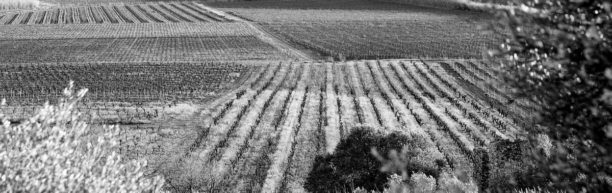 02 RiereCadene byGiorgetti HD NB 20 PETIT FORMAT